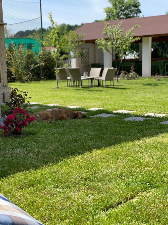 Anahouse Hotel Viseu de Sus Ngoại thất bức ảnh