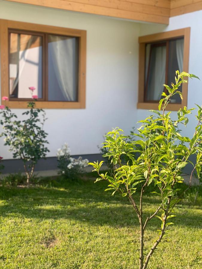 Anahouse Hotel Viseu de Sus Ngoại thất bức ảnh