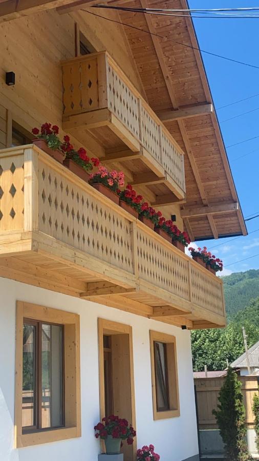 Anahouse Hotel Viseu de Sus Ngoại thất bức ảnh